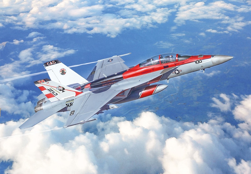 FA-18F Super Hornet U.S. Navy Special Colors Art