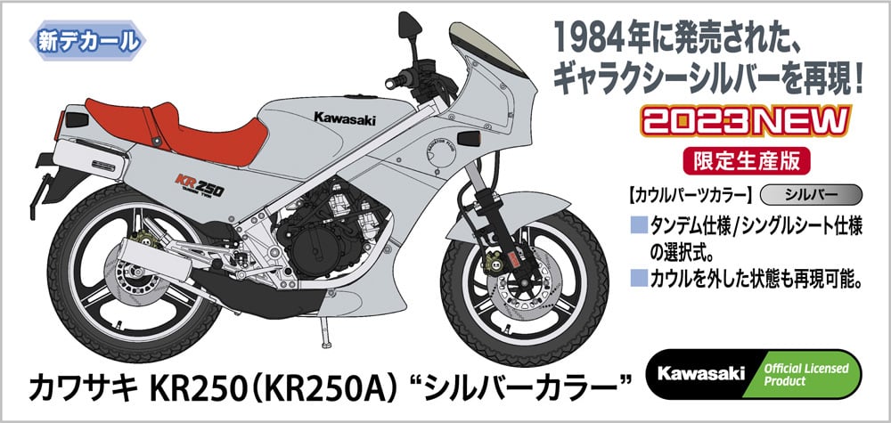 1:12 Kawasaki KR250 (KR250A) “Silver Color” Box